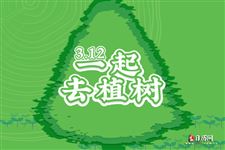 植树节小报内容500字