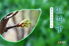植树节的诗歌