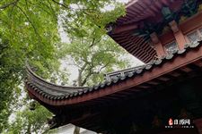 今年五一连放5天假！今年还有哪些假期？快来收藏