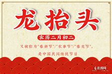 2月2龙抬头是哪天，2021年2月2龙抬头是哪天