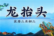 2021年二月二是哪天 几号 星期几