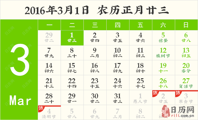 国际海豹日